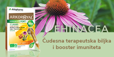 Ehinacea – čudesna terapeutska biljka i moćan booster imuniteta