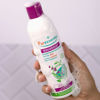 Slika Anti-Lice Daily Shampoo